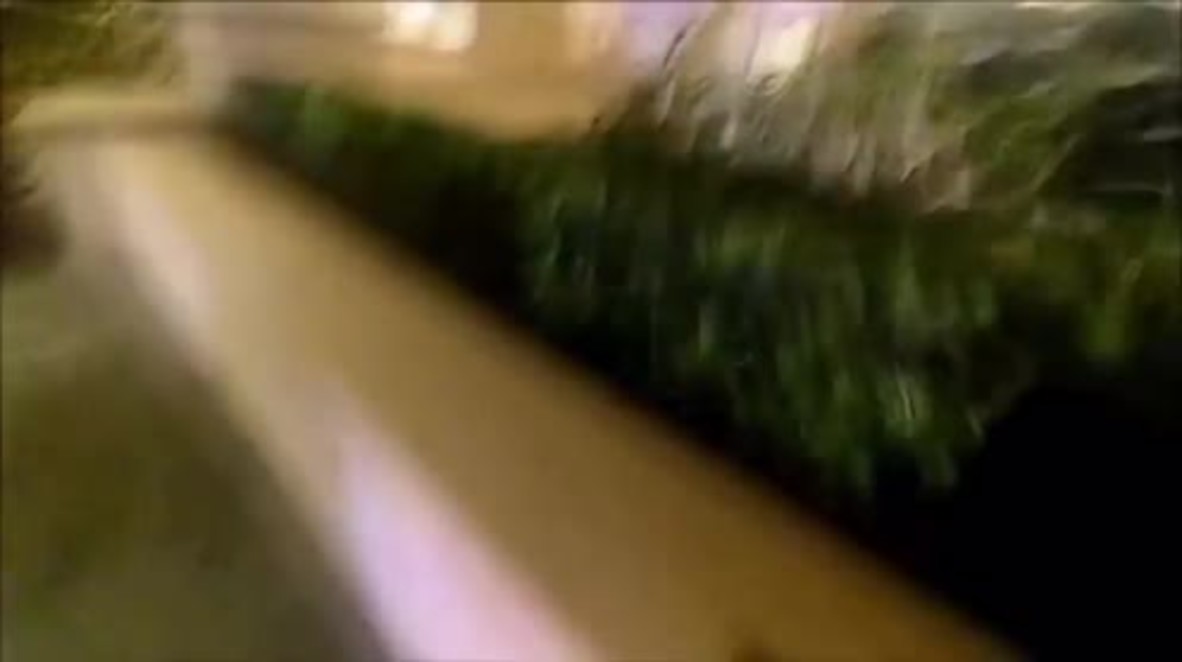 EE.UU.: Video del tiroteo del hombre 'anti-Trump'