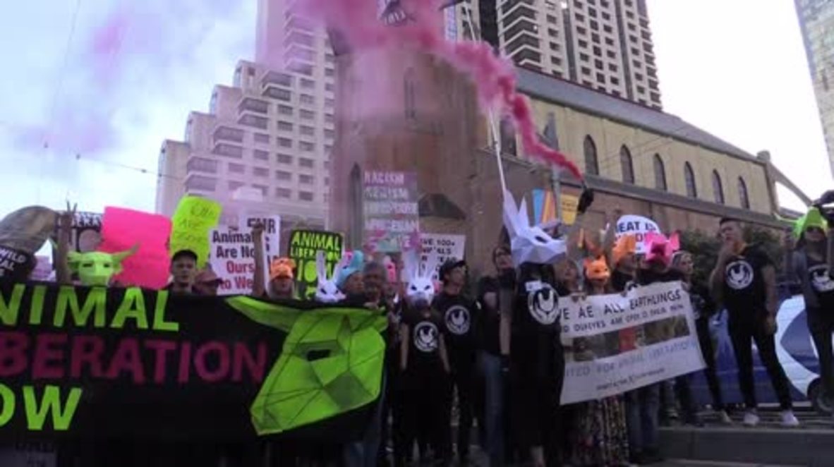 USA: Thousands demand 'Animal Liberation Now' in San Francisco