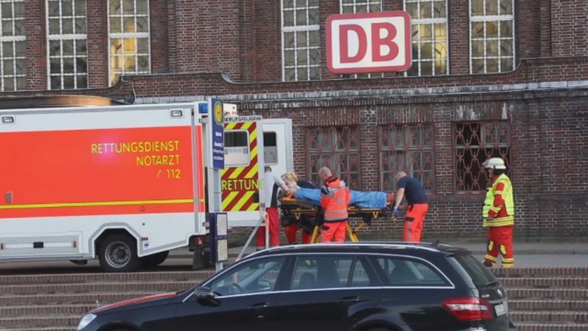 Germany: Police shoot man dead after stabbing on Flensburg-bound train