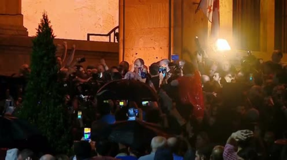 Georgia: PM Kvirikashvili attacked while addressing protesters