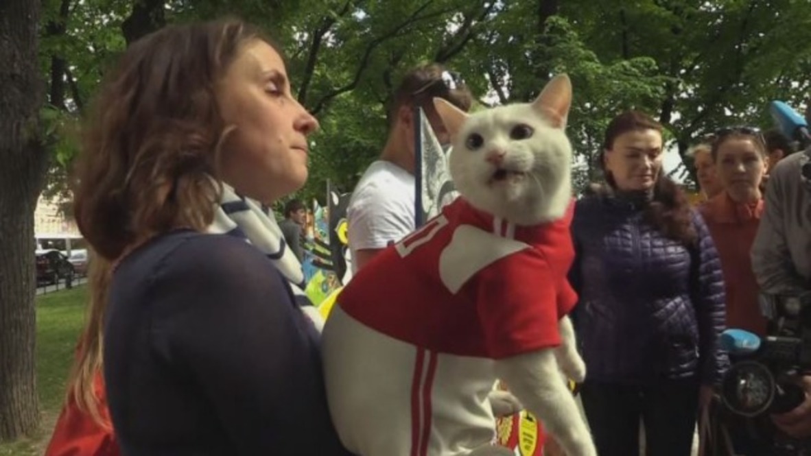 Russia: Famous Hermitage Museum CAT gets ready to predict WC results