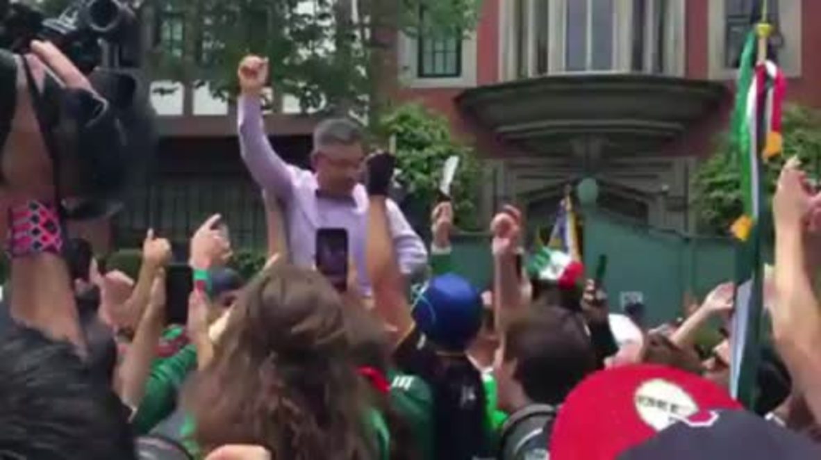 Mexico: South Korea ambassador carried on shoulders after Germany WC exit