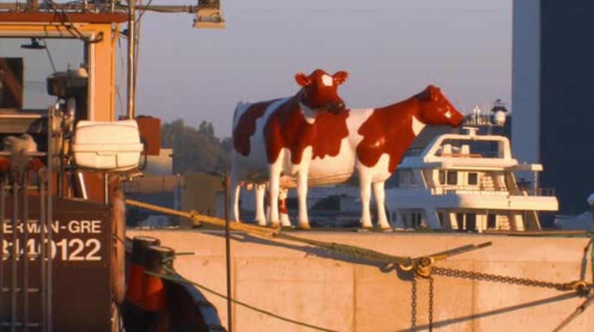 Netherlands: World's first floating dairy farm sets sails to Rotterdam
