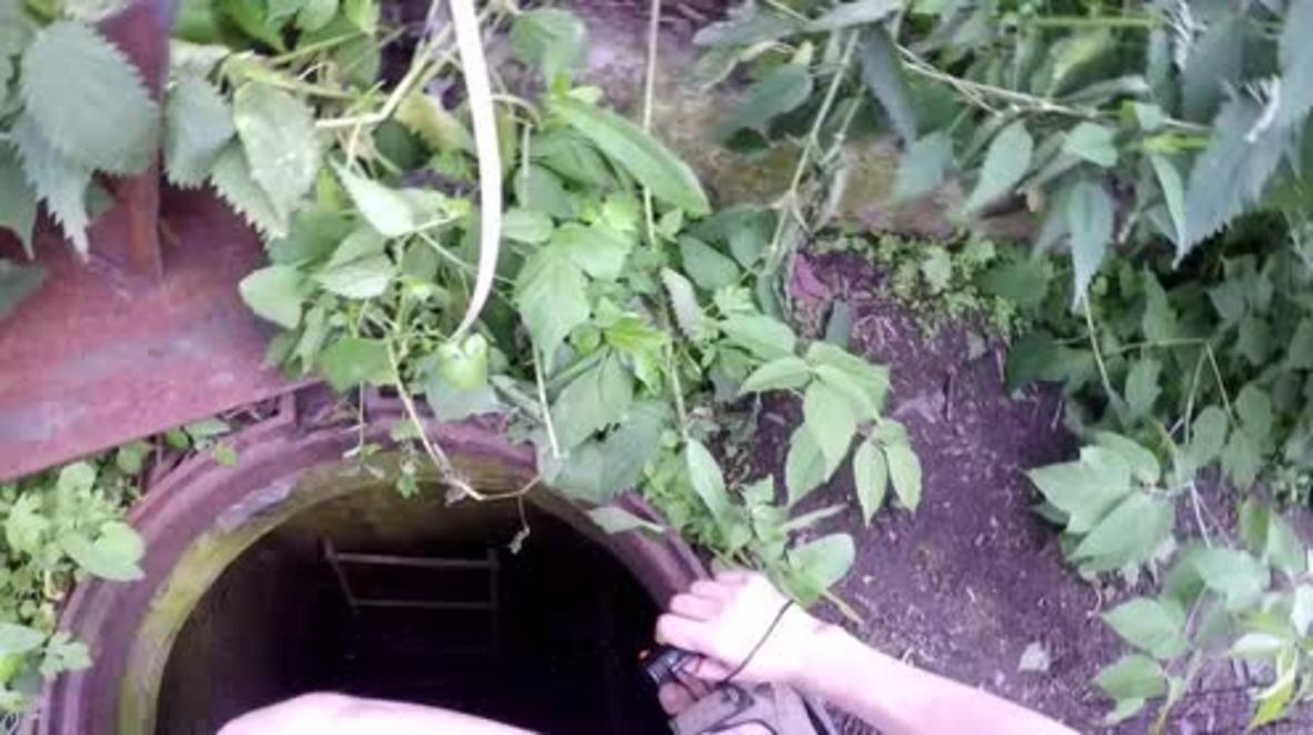 Ruff time: Tiny pup survives 3 long months living in Siberian sewer