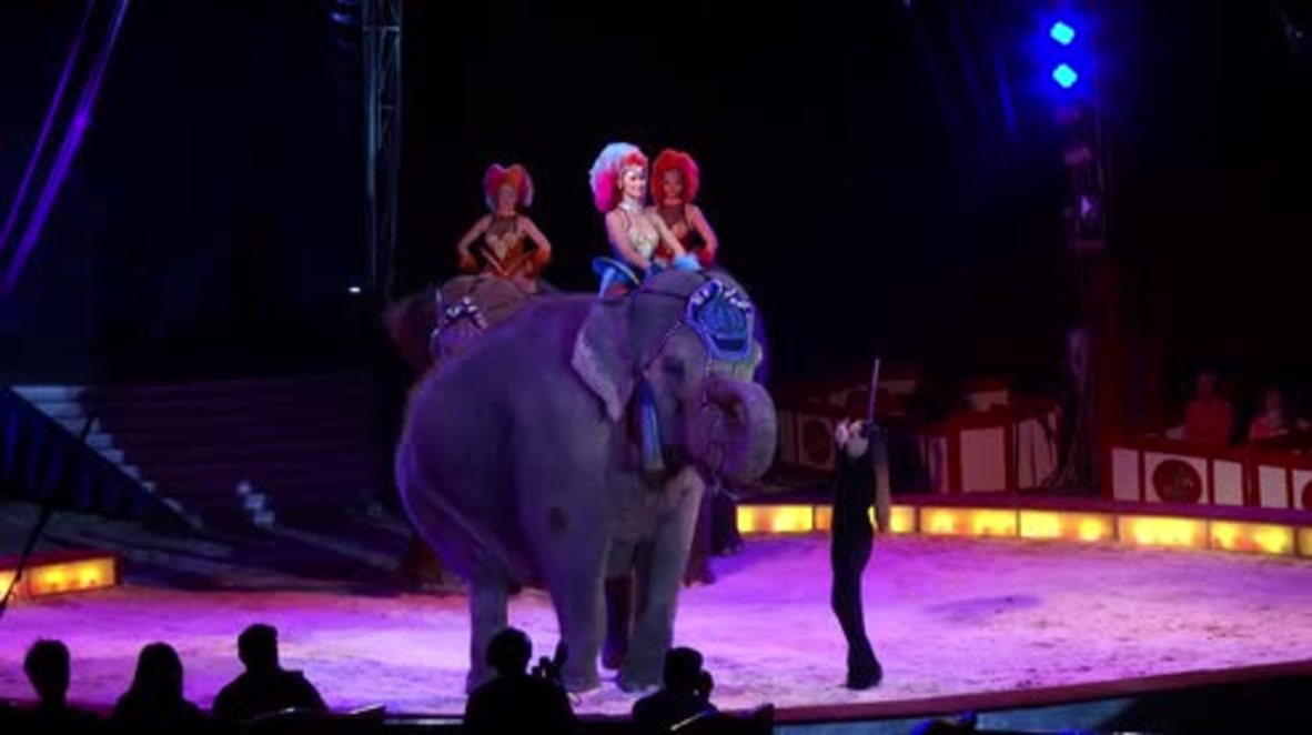 German Dumbo flies over crowd but none got injured