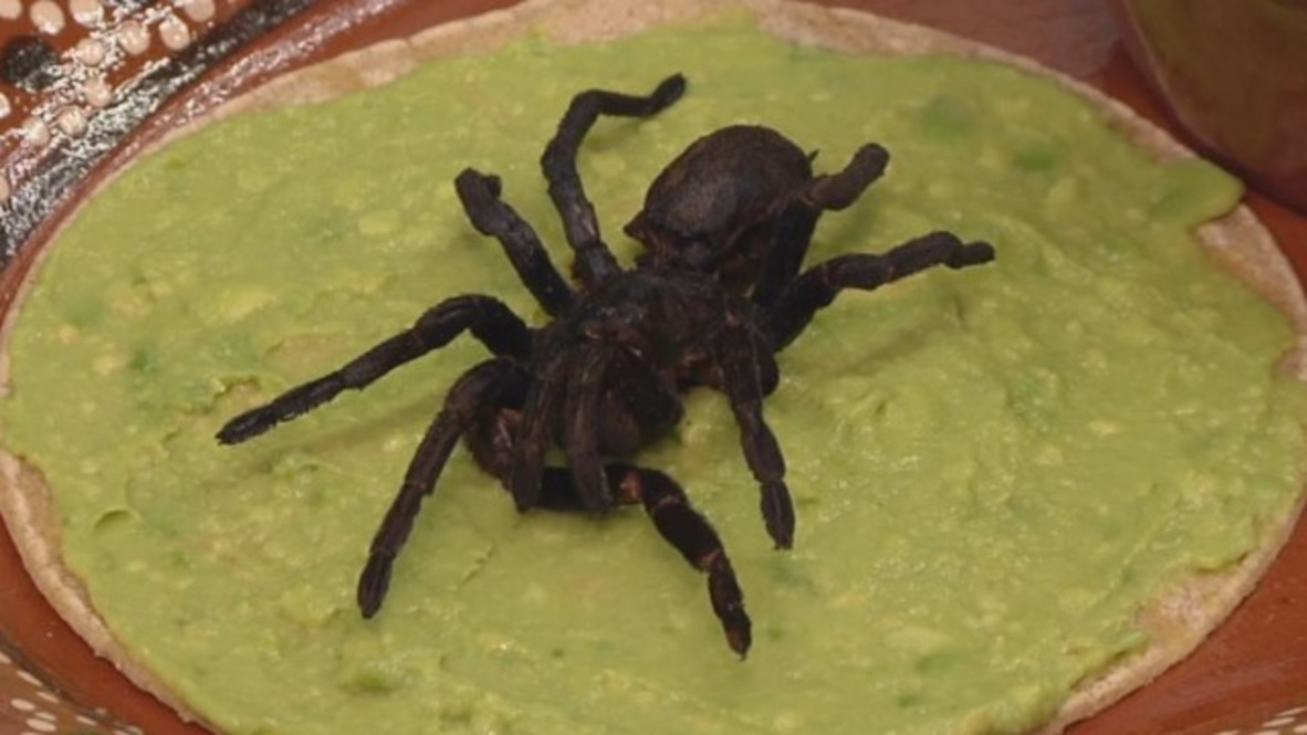 This TARANTULA TACO will get your spidey senses tingling