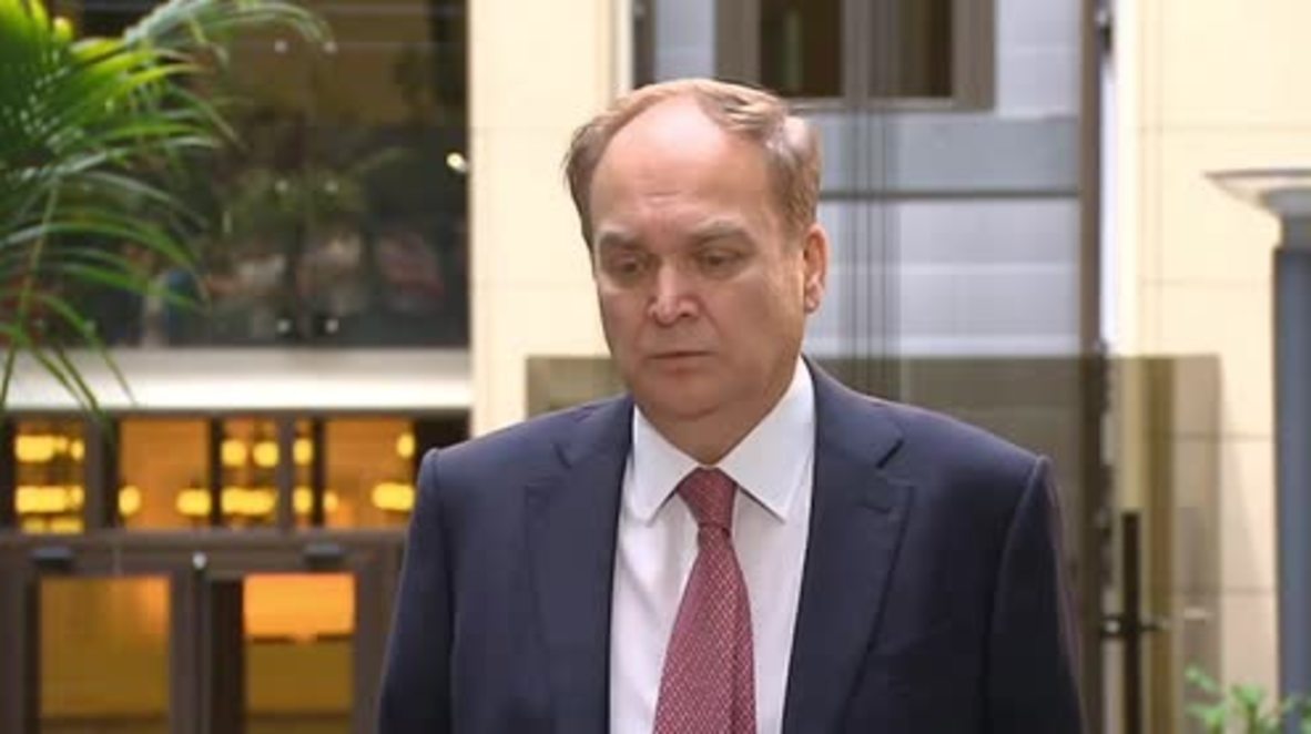 Russia: US ‘hunting Russian citizens abroad’ – Ambassador Antonov on Butina’s arrest