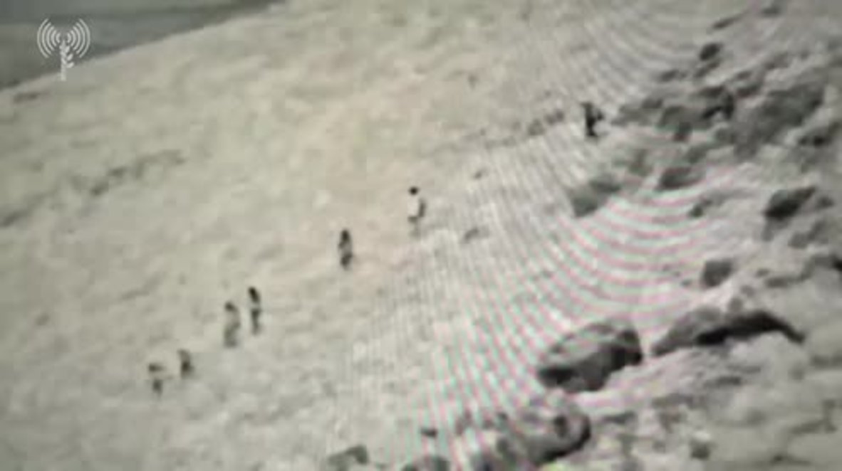 Israel: 7 militantes muertos tras un ataque aéreo israelí en los Altos del Golán - FDI