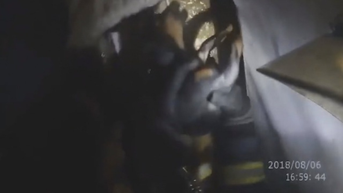 Spanish firefighters rescue tiny pup from burning building