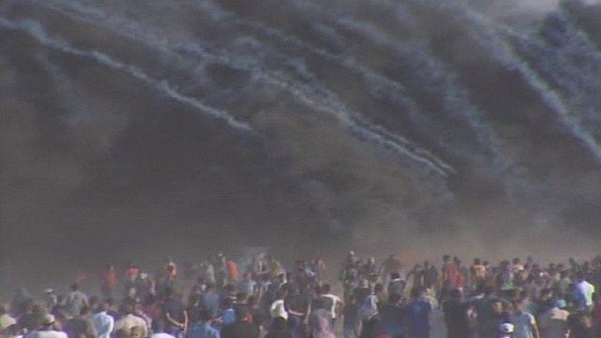 State of Palestine: Medic killed, 242 injured at Gaza protest