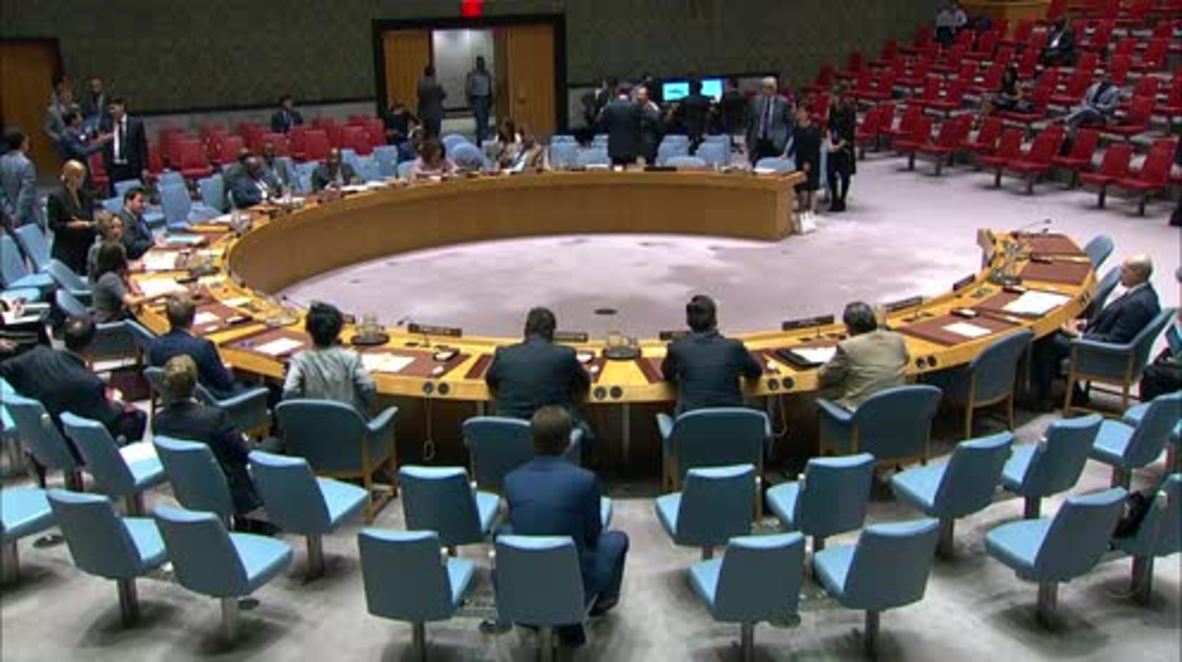 UN: 'Nowhere to flee' - UK, Netherlands and Sweden warn of humanitarian mayhem in Idlib