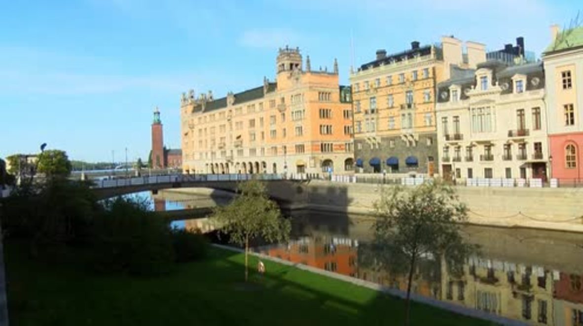 Sweden: Social Democratic-led government a 'guarantee' against far-right rise - Lofven