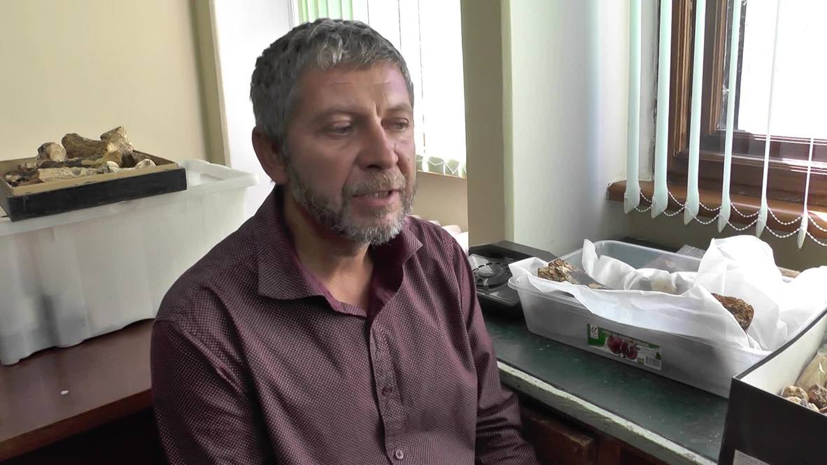 Trove of bones! Remains of 1.5 million-year-old animals discovered in Crimea