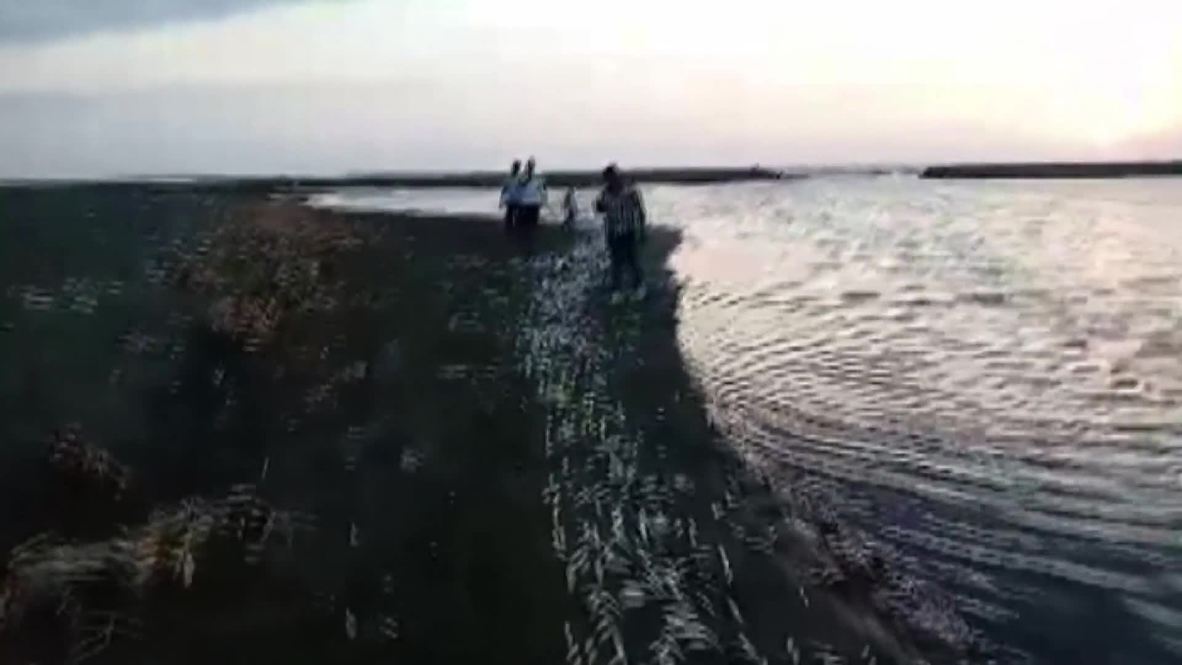 Turquía: Aparecen toneladas de peces muertos en el río Asi