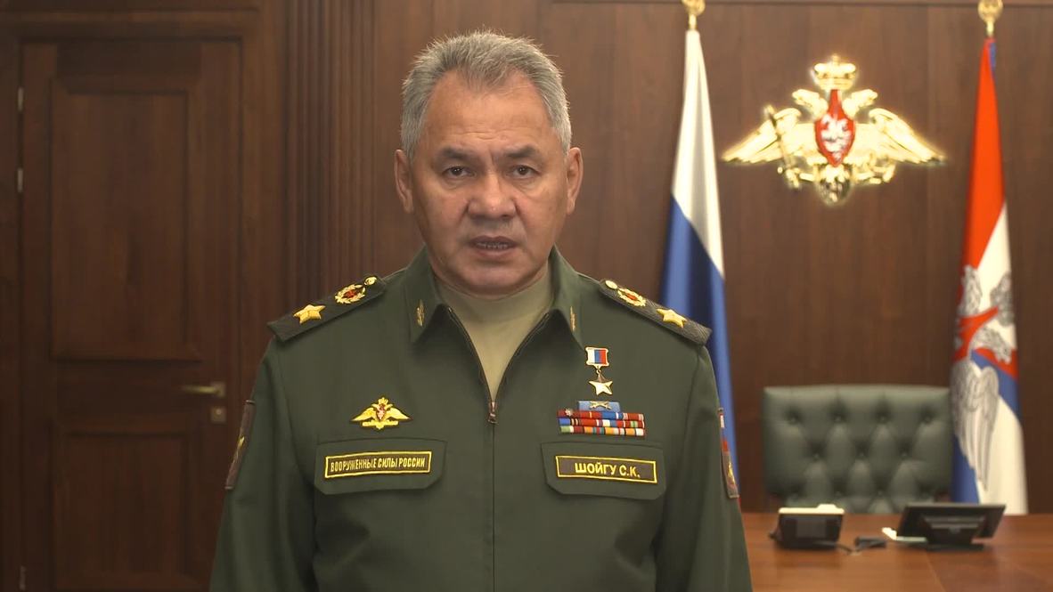 Russia: Moscow to send S-300 anti-aircraft missile system to Syria - Shoigu