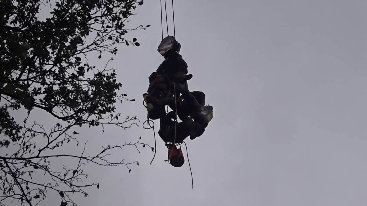 Germany: Police continue eviction of Hambach Forest activists