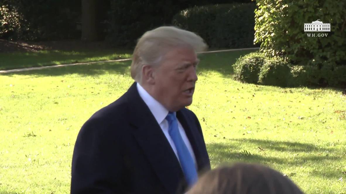 USA: Illegal immigrants 'grab children and use them' to enter country - Trump