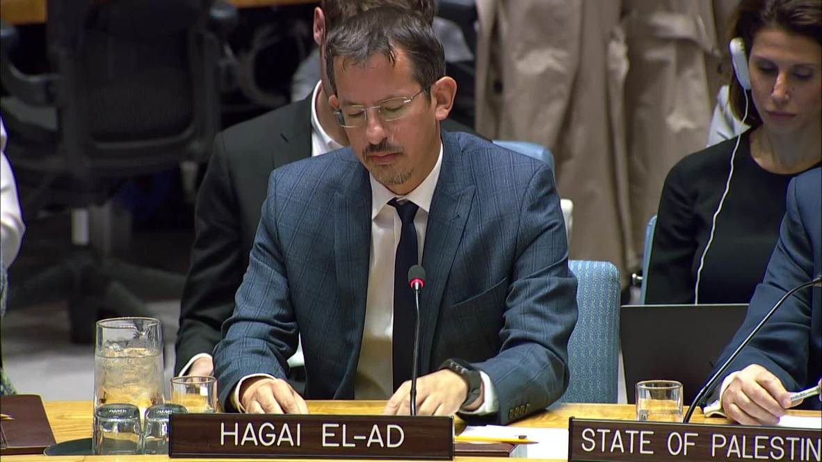 UN: 'Shame on you, collaborator' - Israel rep. to human rights leader