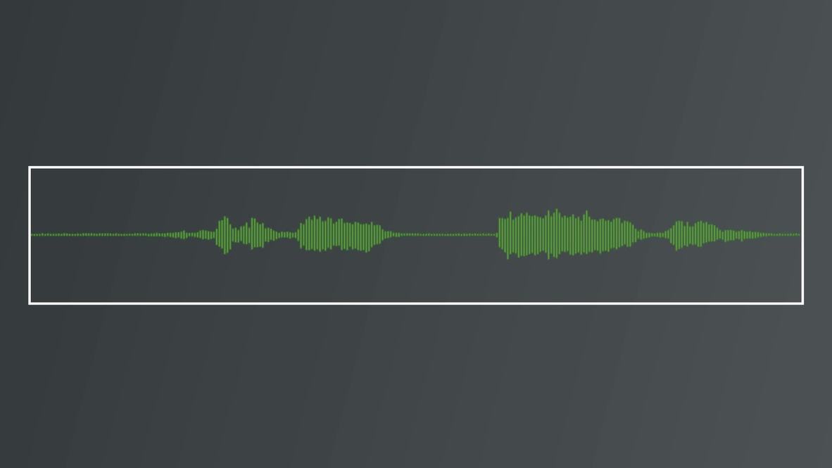 USA: Police audio of Pittsburgh massacre *AUDIO*