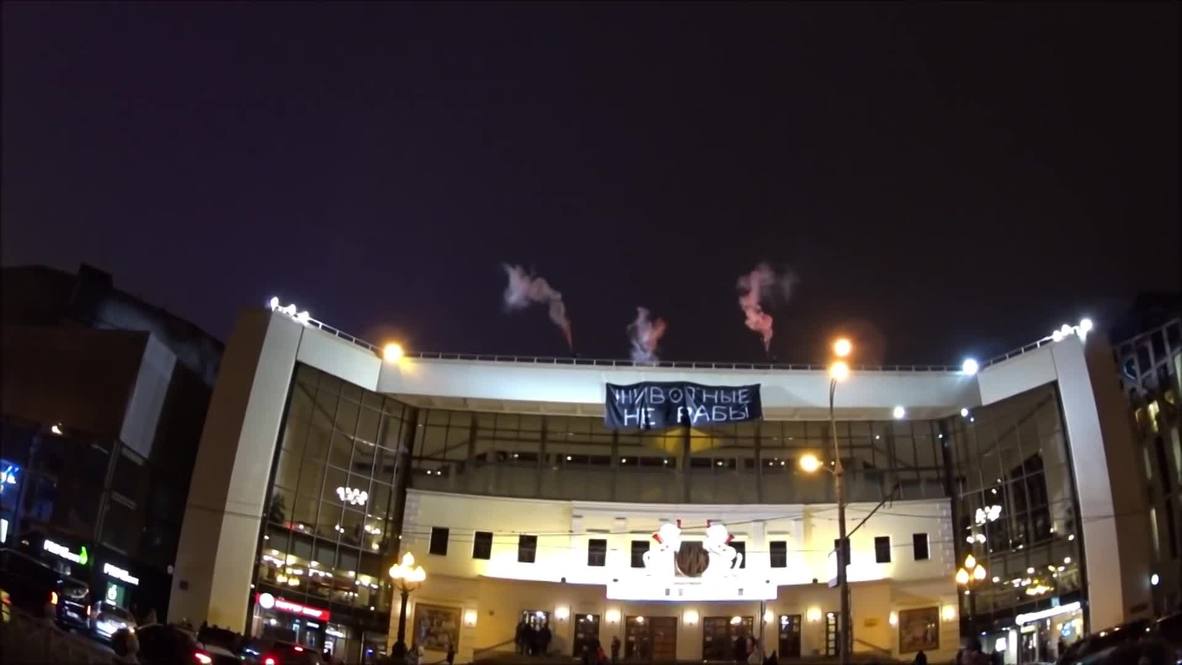 Russia: ‘Animals are not slaves’ – Activists protest Nikulin’s Circus in Moscow