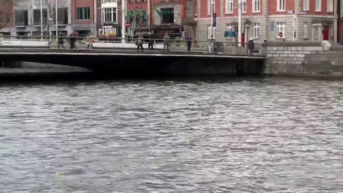 Flippin' heck! Ducking and diving dolphin leaves Dubliners in disbelief