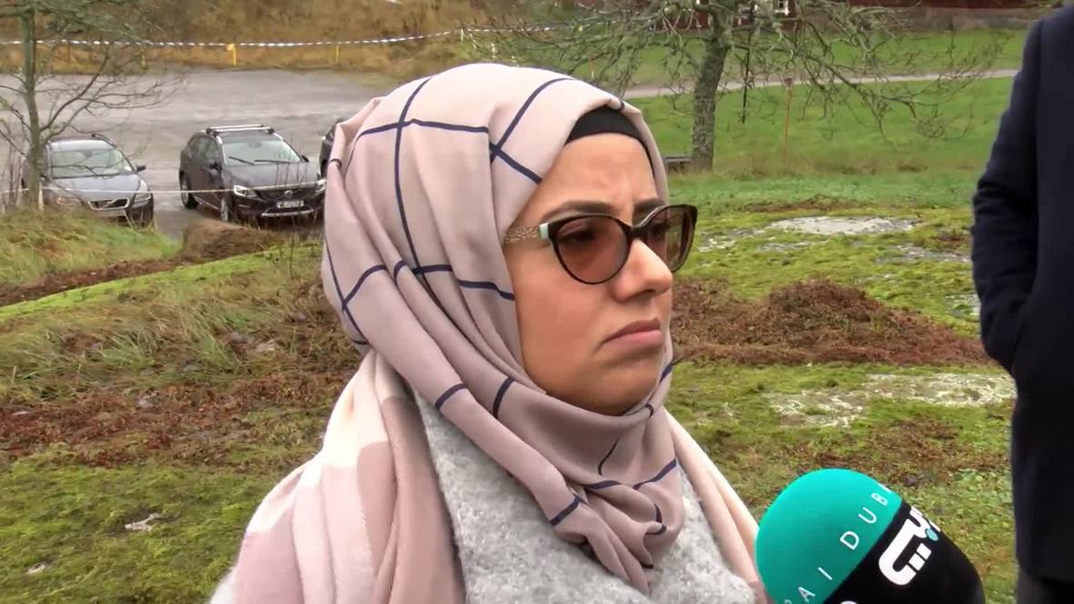 Sweden: Gov’t official calls for reopening of Sanaa airport as Yemen peace talks continue