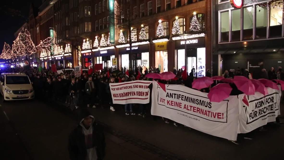Germany: Hundreds protest visit of AfD's Gauland in Hamburg