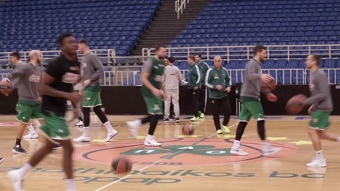 Greece: Panathinaikos' new coach Pitino vows to 'play harder' before CSKA clash