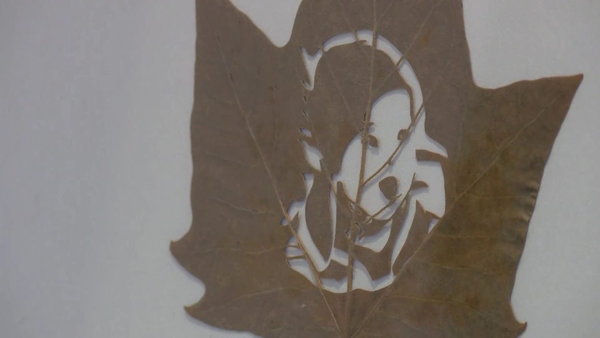 Chinese artist makes dead leaves live forever through unique carving skill