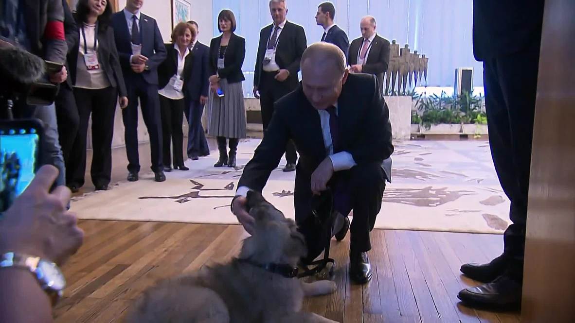 El presidente serbio regala a Putin un nuevo perro