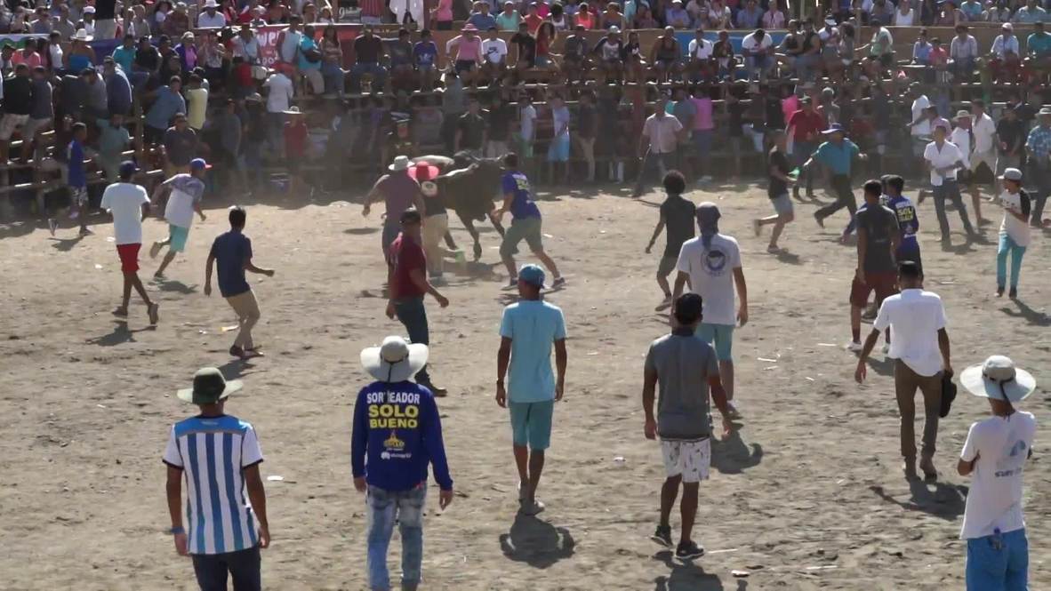 Watch this rodeo-bullfight where anyone can join in!