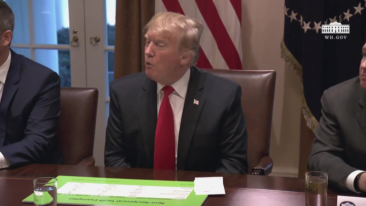 USA: 'Our country is doing so well!' - Trump takes blame for migrant 'invasion'