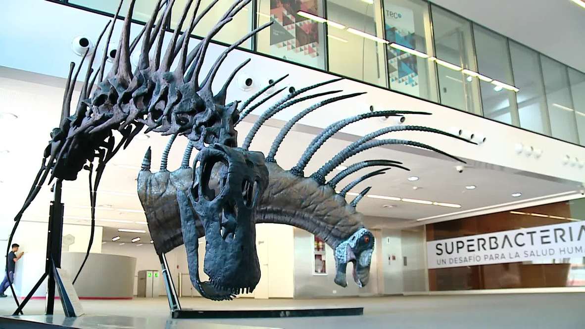 Argentina: Spiky-backboned dinosaur discovered in Patagonia