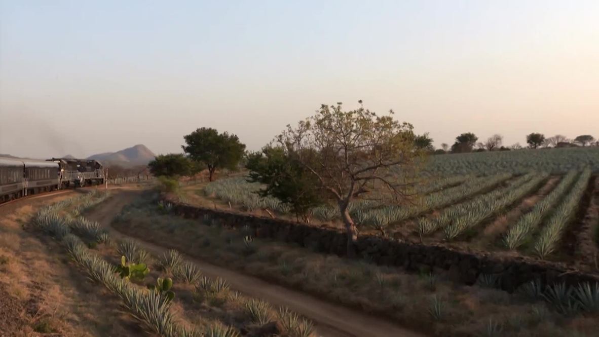 All aboard the tequila train allyoucandrink ride through Mexico