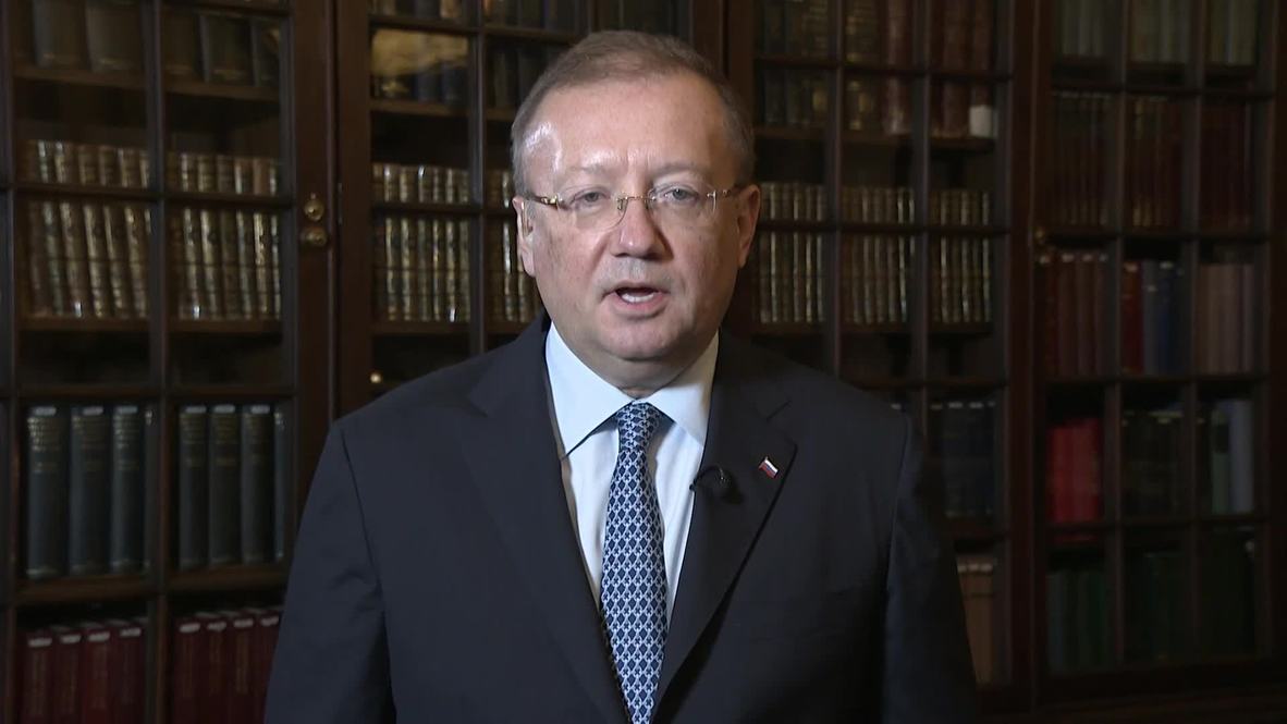 UK: Skripal case 'classified' and victims denied consular assistance - Russian ambassador