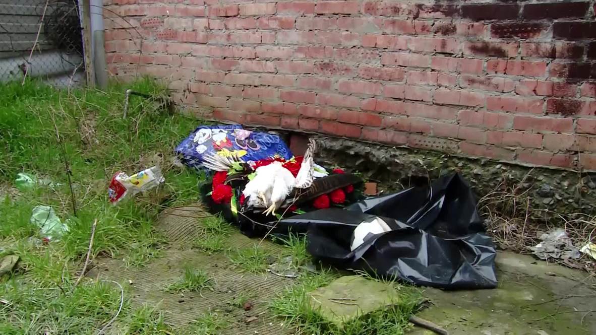 Россия: Жизнь в жанре "хоррор". Жительница Краснодара полгода воюет с соседями за свою жилплощадь