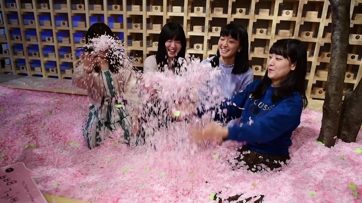 Take a pink plunge in Sakura Chill Bar’s petal pool in Tokyo!