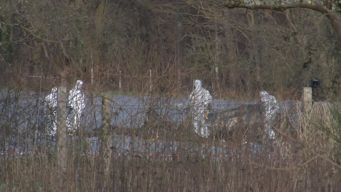 Germany: Experts investigate plane crash which killed Russian millionaire