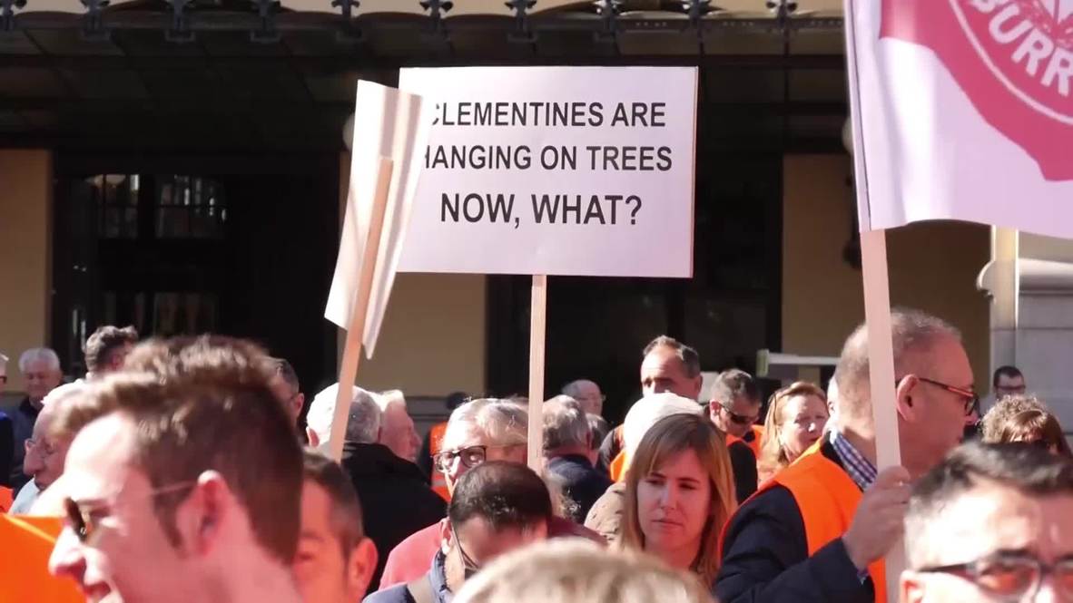 España: Agricultores de cítricos protestan contra las políticas comerciales de la UE en Valencia
