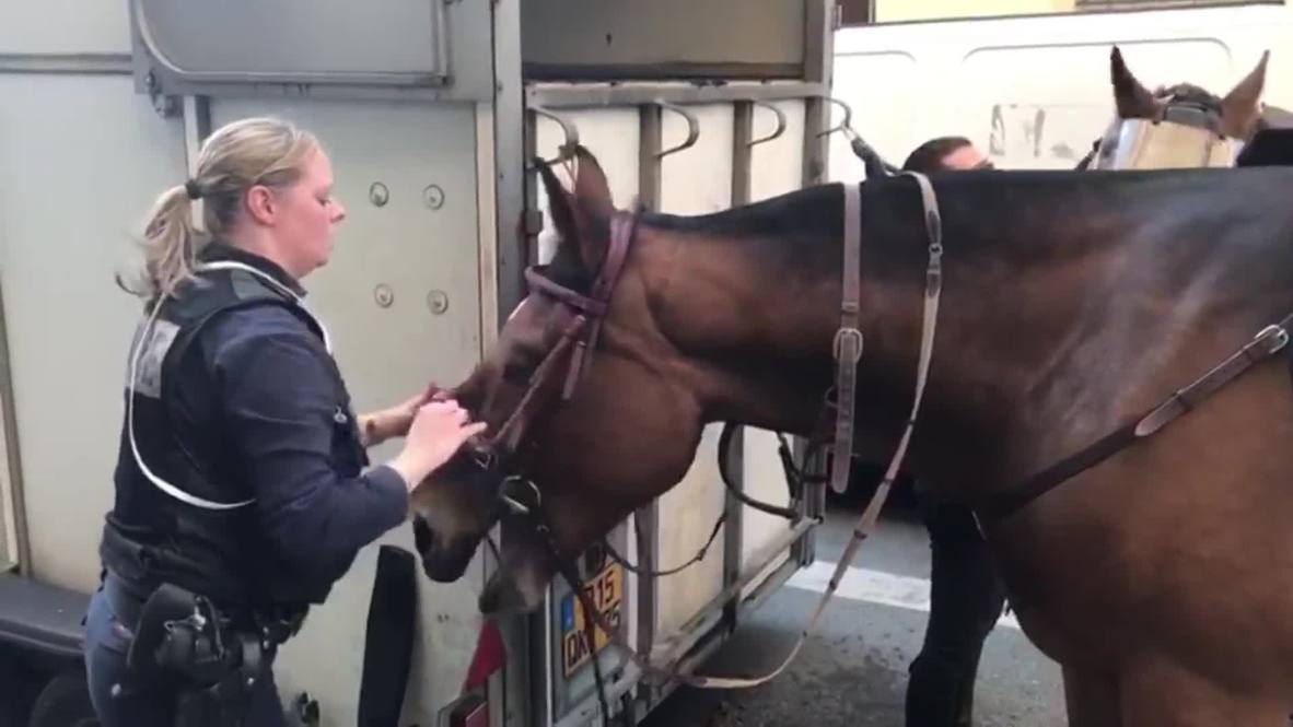 France: Paris police deploy horses ahead of Yellow Vests protests