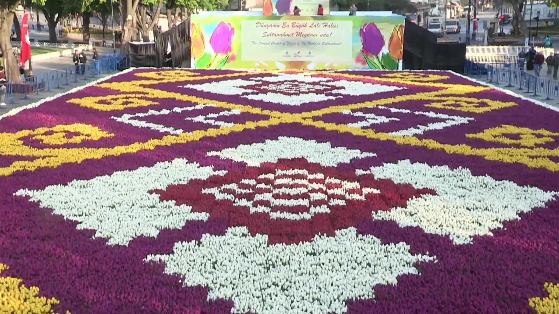 Turquía: 'Alfombra' de tulipanes más grande del mundo se La alfombra de flores más grande del mundo