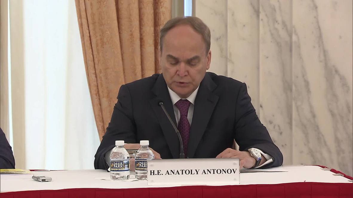 USA: White Helmets and Jabhat al-Nusra preparing provocations in Syria – Ambassador Antonov