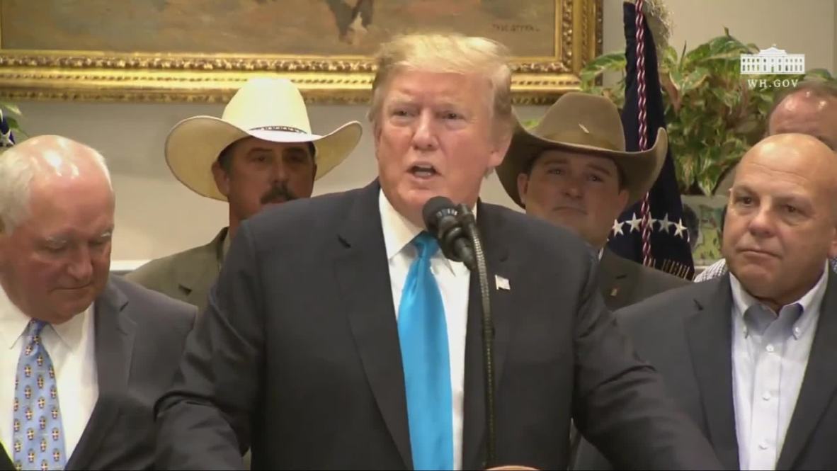 USA: Trump says Huawei could be included in China trade deal