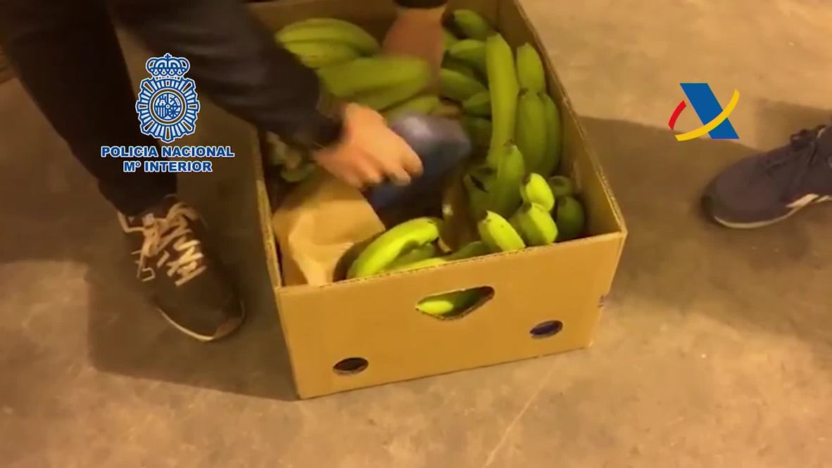 España: Desarticulan grupo de narcotraficantes que importaba cocaína oculta en bananas
