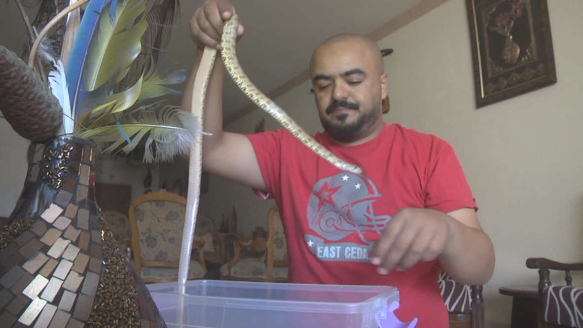 Palestinian man creates very own ZOO in Gaza Strip apartment