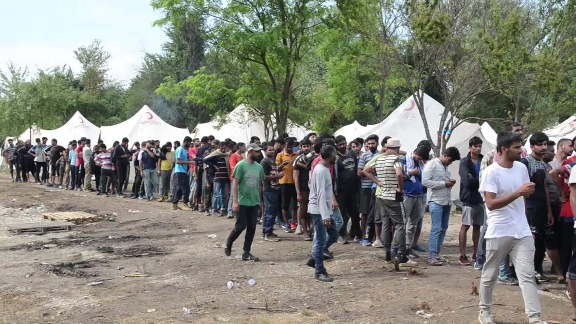 Bosnia and Herzegovina: Migrants decry conditions at new camp near alleged minefields in Vucijak