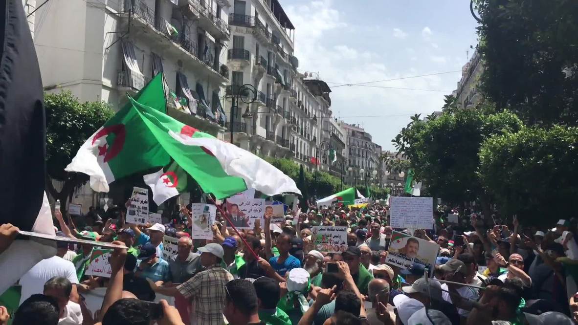 Algeria: Thousands flood Algiers as high-profile figures detained in graft probe