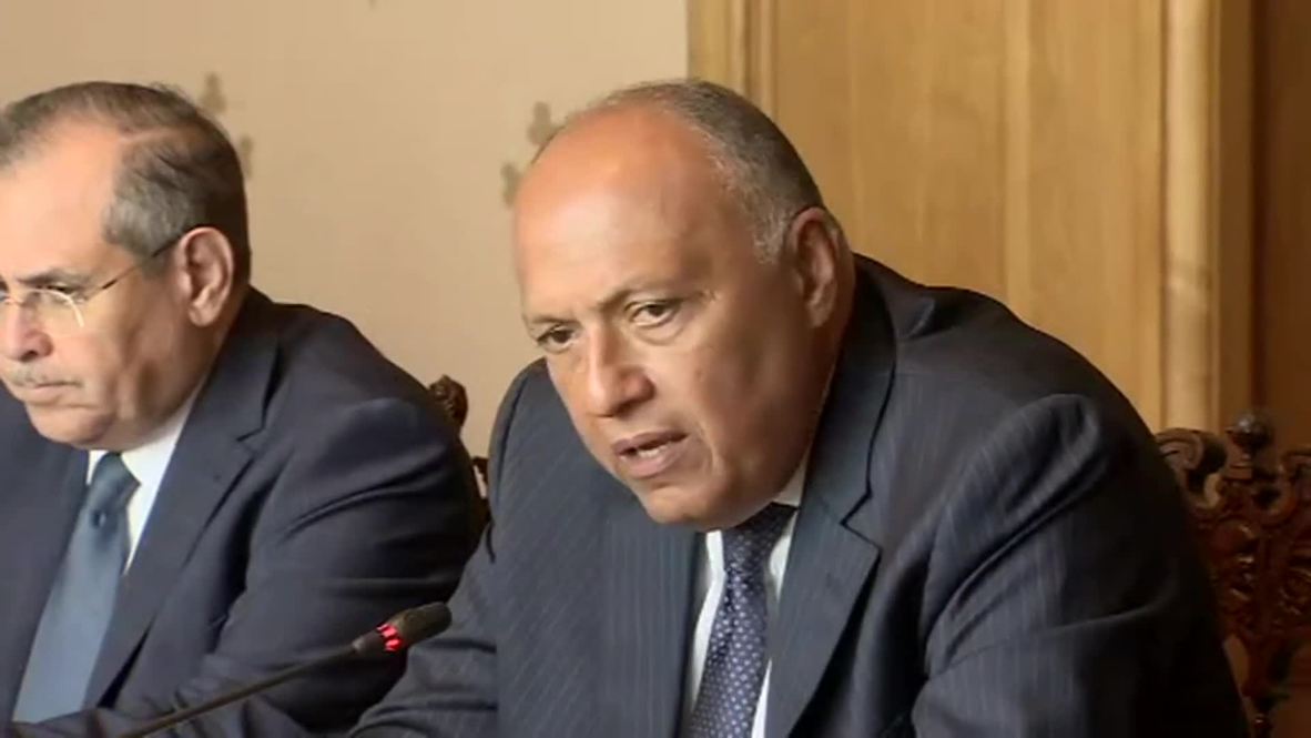 Russia: Lavrov meets Egypt counterpart Shoukry in Moscow