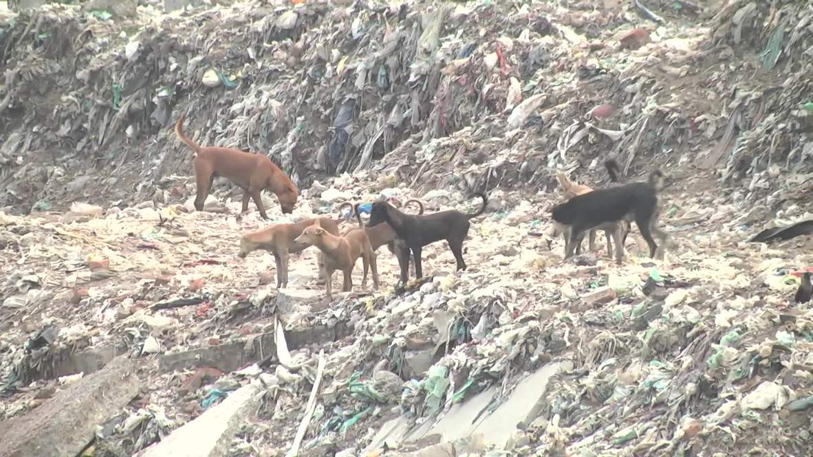 India: El "Monte Everest" de la basura superaría para el 2020 la altura del icónico Taj Mahal