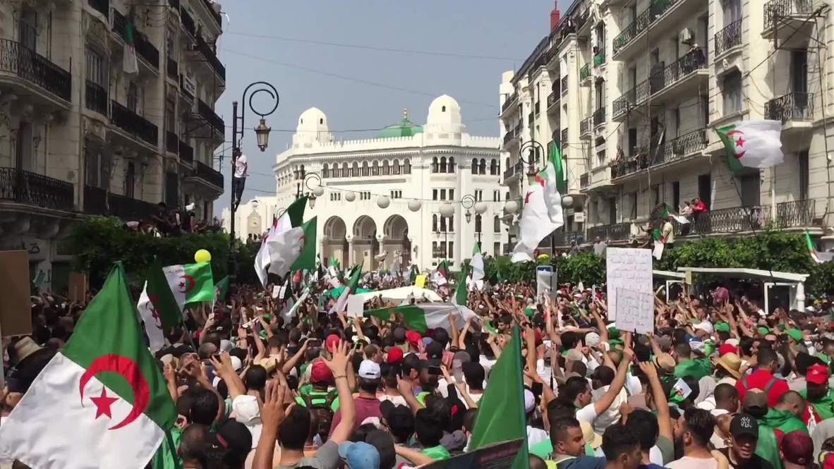 Algeria: Thousands rally against 'ruling gang' on Independence Day